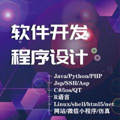 计算机程序设计安卓JAVA定制PHP网站ASP.NET软件python代做C#开发